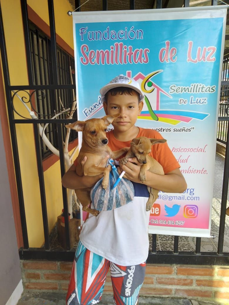 Campaña de donaciones de alimentos para mascotas 2
