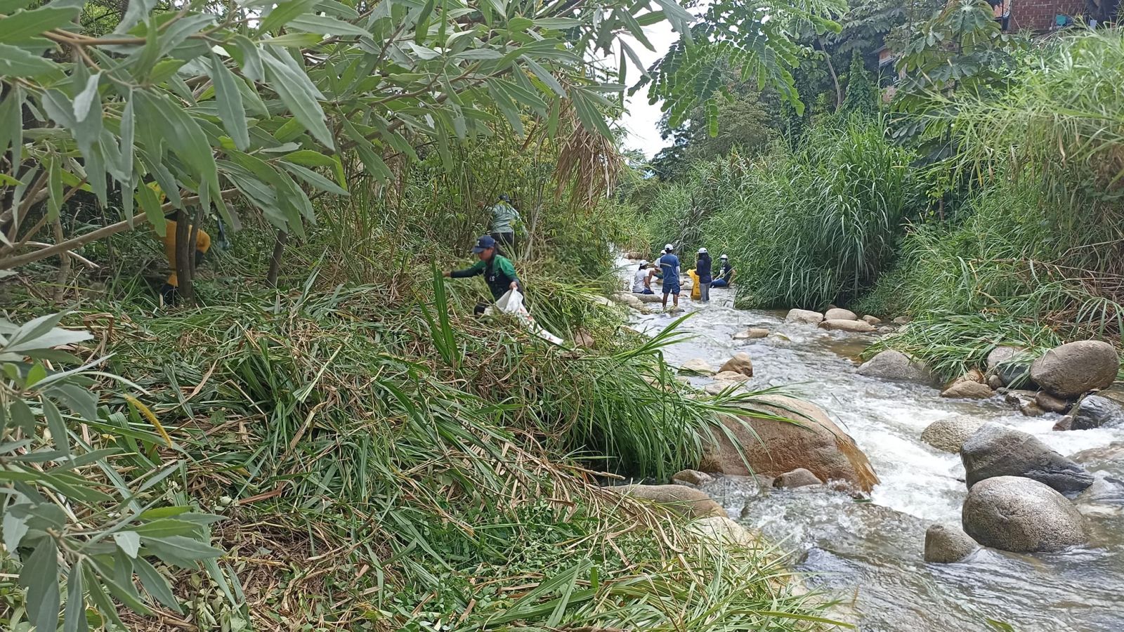 Actividades en pro del medio ambiente limpieza de 
