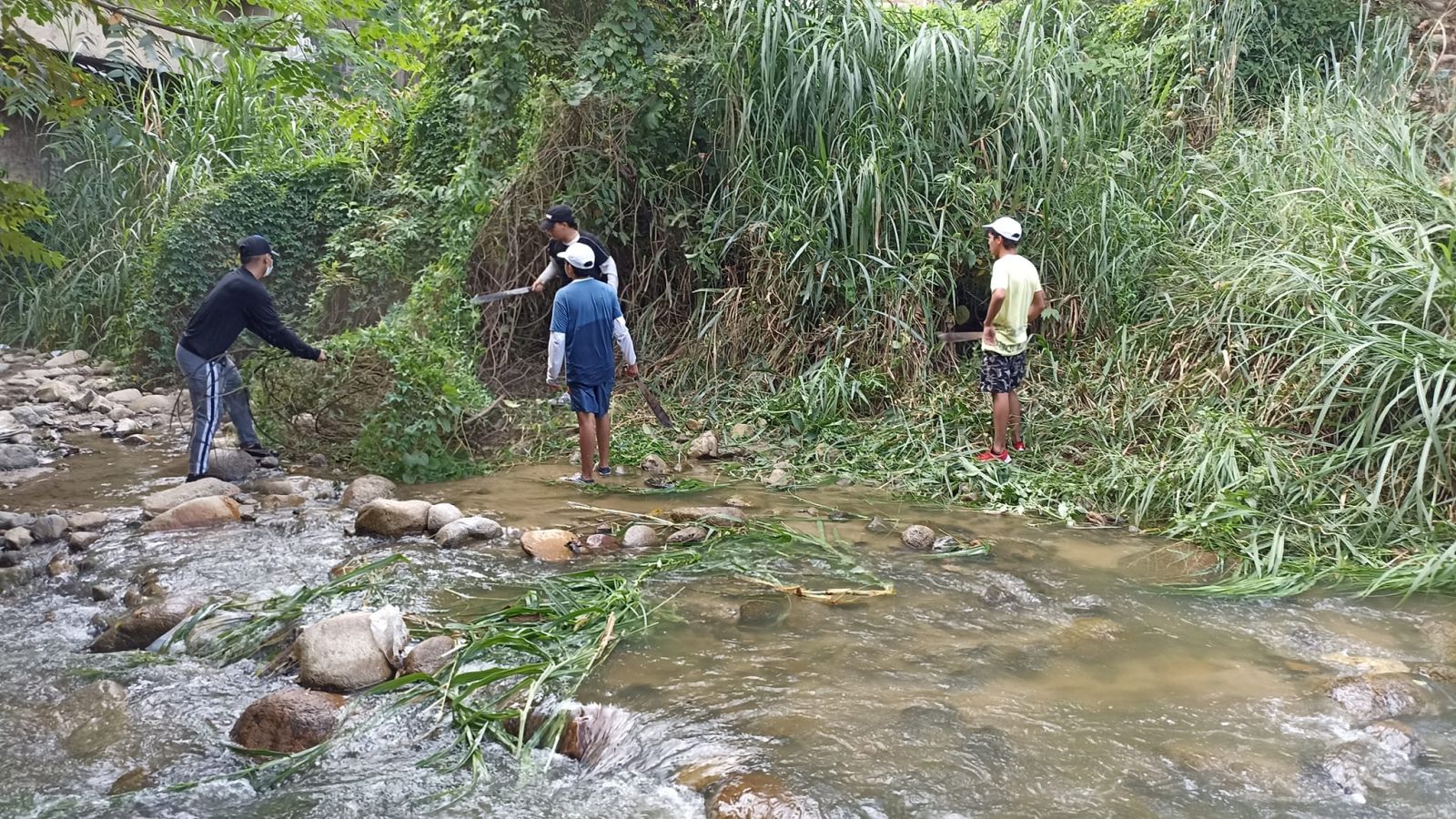 Actividades en pro del medio ambiente limpieza de 