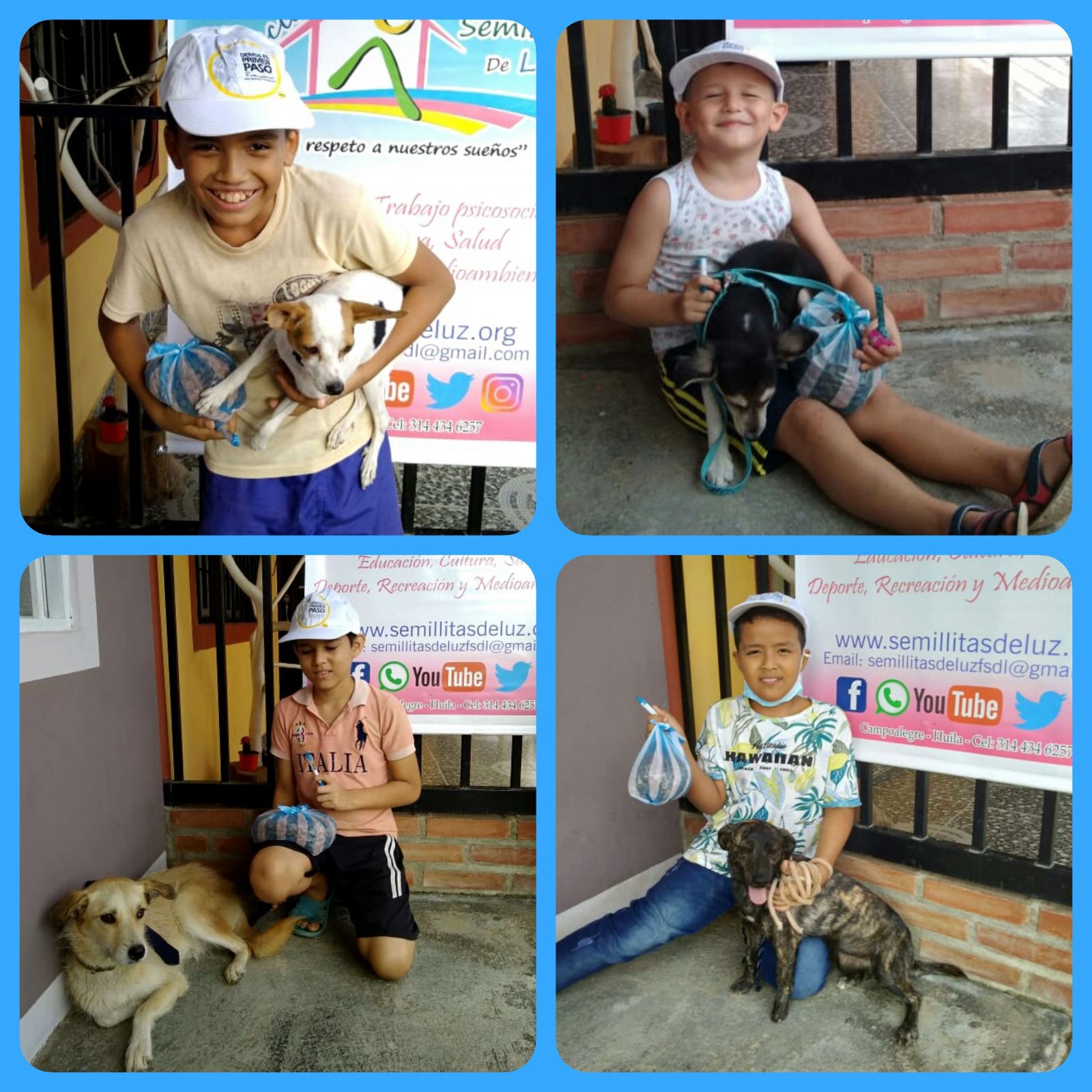 Campaña de donaciones de alimentos para mascotas 2