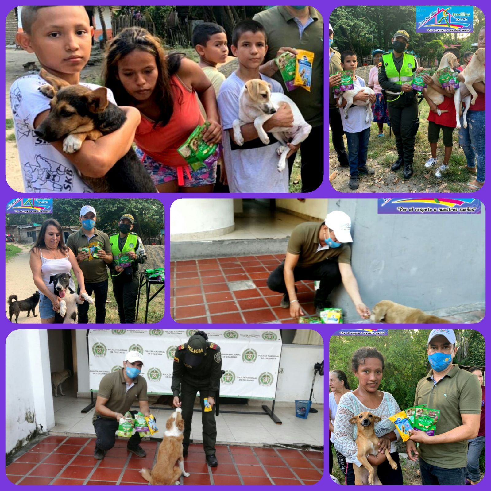 Campaña de donaciones de alimentos para mascotas 2