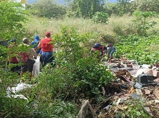 Actividades en pro del medio ambiente limpieza 