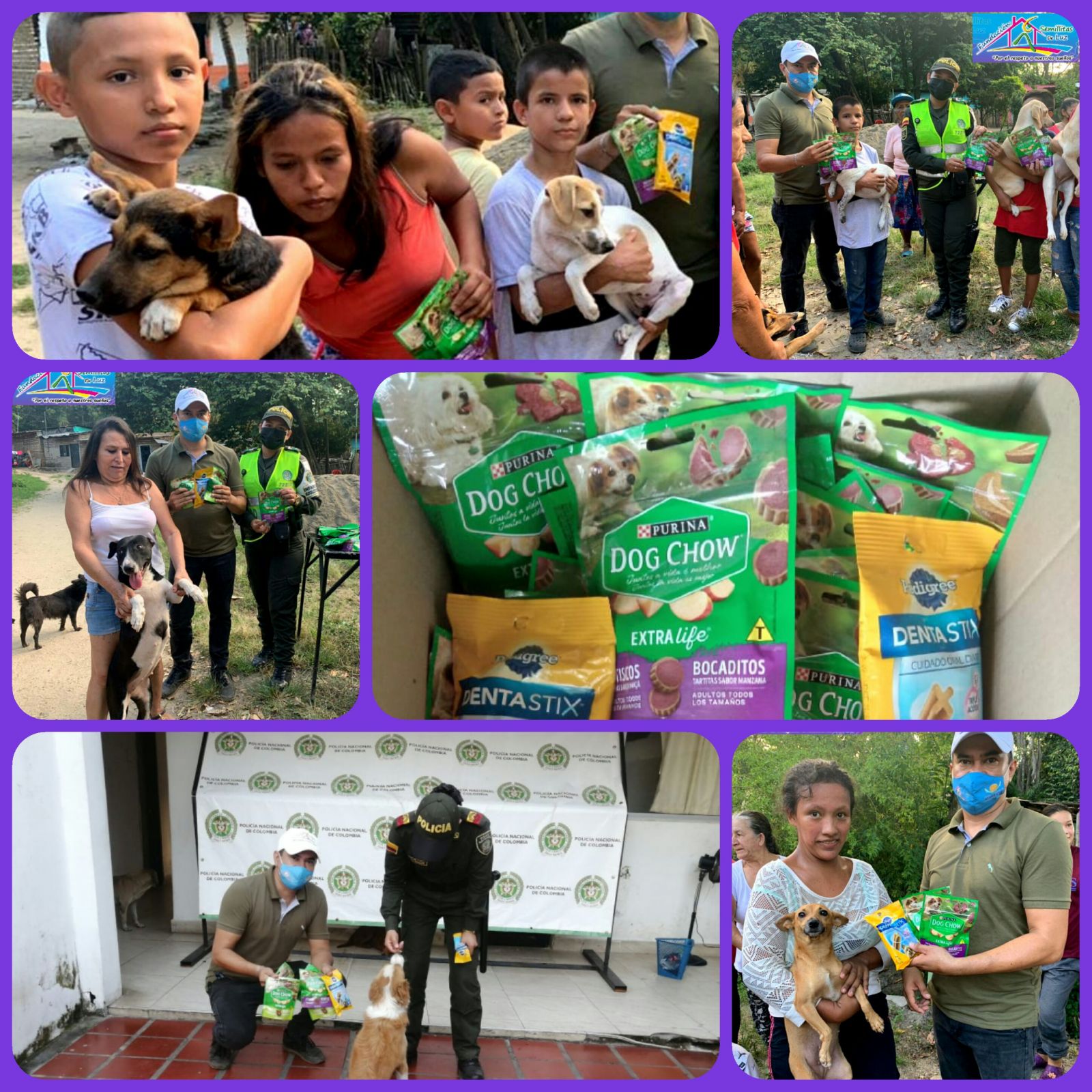 Campaña de donaciones de alimentos para mascotas 2