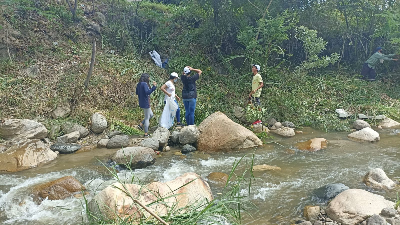 Actividades en pro del medio ambiente limpieza de 