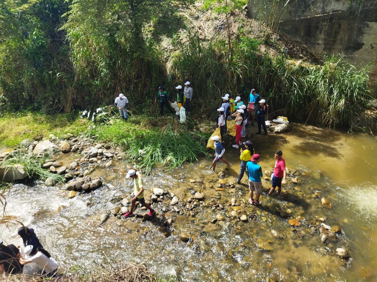 Actividades en pro del medio ambiente limpieza de 